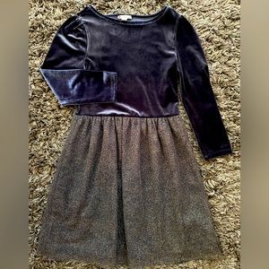 Navy Velvet and Sparkly Tulle Dress